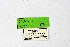  ( - DNAwthTuranana026)  @11 [ ] copyright (2024) Wolfgang ten Hagen Unspecified