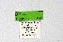  ( - DNAwthTuranana033)  @11 [ ] copyright (2024) Wolfgang ten Hagen Unspecified