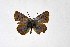  ( - DNAwthTuranana034)  @11 [ ] copyright (2024) Wolfgang ten Hagen Unspecified