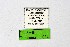  ( - DNAwthTuranana034)  @11 [ ] copyright (2024) Wolfgang ten Hagen Unspecified