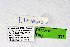  ( - DNAwthTuranana035)  @11 [ ] copyright (2024) Wolfgang ten Hagen Unspecified