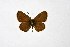  ( - DNAwthTuranana036)  @11 [ ] copyright (2024) Wolfgang ten Hagen Unspecified