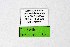  ( - DNAwthTuranana036)  @11 [ ] copyright (2024) Wolfgang ten Hagen Unspecified