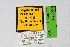  ( - DNAwthTuranana037)  @11 [ ] copyright (2024) Wolfgang ten Hagen Unspecified