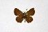  ( - DNAwthTuranana042)  @11 [ ] copyright (2024) Wolfgang ten Hagen Unspecified