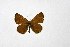  ( - DNAwthTuranana043)  @11 [ ] copyright (2024) Wolfgang ten Hagen Unspecified