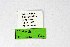  ( - DNAwthTuranana044)  @11 [ ] copyright (2024) Wolfgang ten Hagen Unspecified