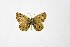  ( - DNAwthTuranana051)  @11 [ ] copyright (2024) Wolfgang ten Hagen Unspecified