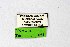  ( - DNAwthTuranana051)  @11 [ ] copyright (2024) Wolfgang ten Hagen Unspecified