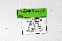  ( - DNAwthTarucus055)  @11 [ ] Copyright (2024) Wolfgang ten Hagen Unspecified