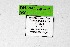  ( - DNAwthTarucus056)  @11 [ ] Copyright (2024) Wolfgang ten Hagen Unspecified