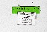  ( - DNAwthTarucus066)  @11 [ ] Copyright (2024) Wolfgang ten Hagen Unspecified