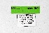  ( - DNAwthTarucus067)  @11 [ ] Copyright (2024) Wolfgang ten Hagen Unspecified