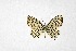  ( - DNAwthTarucus070)  @11 [ ] Copyright (2024) Wolfgang ten Hagen Unspecified