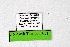  ( - DNAwthTarucus071)  @11 [ ] Copyright (2024) Wolfgang ten Hagen Unspecified