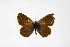  ( - DNAwthTuranana073)  @11 [ ] Copyright (2024) Wolfgang ten Hagen Unspecified