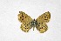  ( - DNAwthTuranana073)  @11 [ ] Copyright (2024) Wolfgang ten Hagen Unspecified