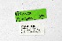  ( - DNAwthTuranana073)  @11 [ ] Copyright (2024) Wolfgang ten Hagen Unspecified