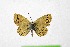  ( - DNAwthTuranana074)  @11 [ ] Copyright (2024) Wolfgang ten Hagen Unspecified