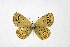  ( - DNAwthTuranana075)  @11 [ ] Copyright (2024) Wolfgang ten Hagen Unspecified
