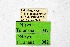  ( - DNAwthTuranana082)  @11 [ ] Copyright (2024) Wolfgang ten Hagen Unspecified