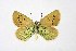  ( - DNAwthPamiria015)  @11 [ ] Copyright (2025) Wolfgang ten Hagen Unspecified