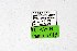  ( - DNAwthPamiria015)  @11 [ ] Copyright (2025) Wolfgang ten Hagen Unspecified