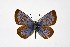 ( - DNAwthPamiria016)  @11 [ ] Copyright (2025) Wolfgang ten Hagen Unspecified