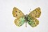  ( - DNAwthPamiria016)  @11 [ ] Copyright (2025) Wolfgang ten Hagen Unspecified