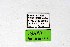  ( - DNAwthPamiria016)  @11 [ ] Copyright (2025) Wolfgang ten Hagen Unspecified