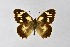  ( - DNAwthChazara040)  @11 [ ] copyright (2025) Wolfgang tenHagen Unspecified