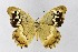  ( - DNAwthChazara045)  @11 [ ] copyright (2025) Wolfgang tenHagen Unspecified