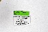  ( - DNAwthChazara045)  @11 [ ] copyright (2025) Wolfgang tenHagen Unspecified