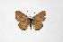  ( - DNAWthChilades003)  @11 [ ] Copyright (2022) Wolfgang ten Hagen Unspecified