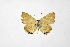 ( - DNAWthChilades003)  @11 [ ] Copyright (2022) Wolfgang ten Hagen Unspecified