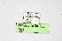 ( - DNAWthChilades003)  @11 [ ] Copyright (2022) Wolfgang ten Hagen Unspecified