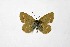  ( - DNAwthCupido010)  @11 [ ] Copyright (2022) Wolfgang ten Hagen Unspecified