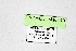  ( - DNAwthCupido010)  @11 [ ] Copyright (2022) Wolfgang ten Hagen Unspecified