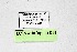  ( - DNAwthCupido011)  @11 [ ] Copyright (2022) Wolfgang ten Hagen Unspecified
