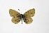  ( - DNAwthCupido012)  @11 [ ] Copyright (2022) Wolfgang ten Hagen Unspecified