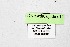  ( - DNAwthCupido012)  @11 [ ] Copyright (2022) Wolfgang ten Hagen Unspecified