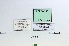  ( - Eck10-136)  @11 [ ] copyright (2023) Wolfgang Eckweiler Unspecified