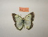  ( - ARPI-505b-001)  @11 [ ] Copyright (2022) Alireza Naderi Unspecified