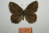  ( - ARSA-118e-001)  @11 [ ] Copyright (2021) Alireza Naderi Unspecified
