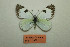  ( - ARPI-301c-001)  @11 [ ] Copyright (2021) Alireza Naderi Unspecified