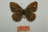  ( - ARSA-353b-001)  @11 [ ] Copyright (2021) Alireza Naderi Unspecified