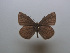  ( - JFC23001)  @11 [ ] Copyright (2023) Unspecified Unspecified