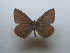  ( - JFC23002)  @11 [ ] Copyright (2023) Unspecified Unspecified