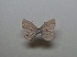  ( - JFC23004)  @11 [ ] Copyright (2023) Unspecified Unspecified