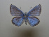  ( - JFC23008)  @11 [ ] Copyright (2023) Unspecified Unspecified